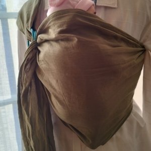 le carolin à anneaux (copie)